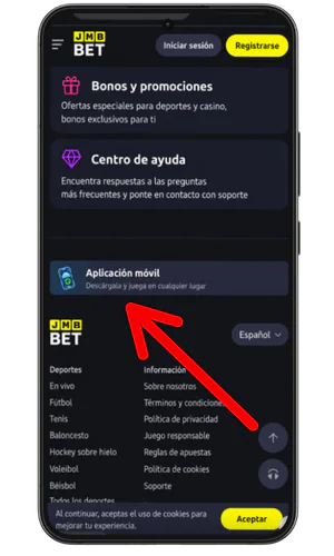 Aplicación de casino BDMbet