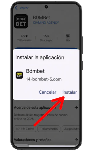 Confirmar la instalación BDMbet